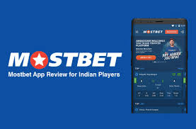 Top-rated sports betting platforms for enthusiasts and beginners